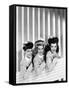 The Andrews Sisters-null-Framed Stretched Canvas