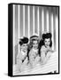 The Andrews Sisters-null-Framed Stretched Canvas