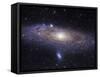 The Andromeda Galaxy-Stocktrek Images-Framed Stretched Canvas