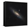 The Andromeda Galaxy-Stocktrek Images-Framed Stretched Canvas