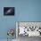 The Andromeda Galaxy-Stocktrek Images-Framed Stretched Canvas displayed on a wall