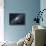 The Andromeda Galaxy-Stocktrek Images-Stretched Canvas displayed on a wall