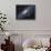 The Andromeda Galaxy-Stocktrek Images-Stretched Canvas displayed on a wall