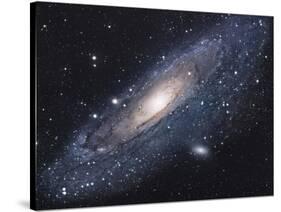 The Andromeda Galaxy-Stocktrek Images-Stretched Canvas