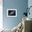 The Andromeda Galaxy-Stocktrek Images-Framed Premium Photographic Print displayed on a wall