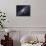 The Andromeda Galaxy-Stocktrek Images-Mounted Photographic Print displayed on a wall