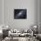 The Andromeda Galaxy-Stocktrek Images-Photographic Print displayed on a wall