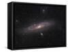 The Andromeda Galaxy-Stocktrek Images-Framed Stretched Canvas