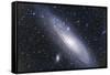 The Andromeda Galaxy-null-Framed Stretched Canvas