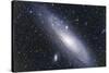 The Andromeda Galaxy-null-Stretched Canvas