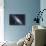 The Andromeda Galaxy-null-Photographic Print displayed on a wall