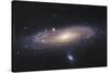 The Andromeda Galaxy-null-Stretched Canvas