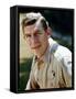 The Andy Griffith Show-null-Framed Stretched Canvas