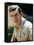 The Andy Griffith Show-null-Framed Stretched Canvas