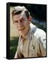 The Andy Griffith Show-null-Framed Stretched Canvas