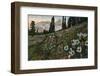 'The Anemone in Mount Rainier National Park', c1916-Asahel Curtis-Framed Photographic Print