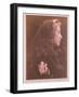 The Angel at the Sepulchre-Julia Margaret Cameron-Framed Giclee Print