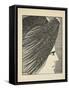 The Angel of Death, plate 53-William Thomas Horton-Framed Stretched Canvas