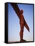 The Angel of the North, Newcastle Upon Tyne, Tyne and Wear, England, United Kingdom-James Emmerson-Framed Stretched Canvas