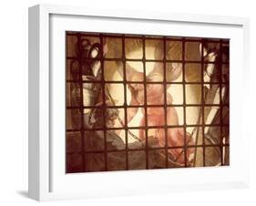 The Angel Wakes St Peter, from 'The Liberation of St Peter' in the Stanza D'Eliodoro, 1512-14-Raphael-Framed Giclee Print