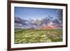 The Anger Of The Heavens-Viviane Fedieu Daniel-Framed Photographic Print