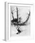 The Angler, C1860-1910-Alphonse Legros-Framed Giclee Print