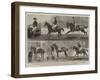 The Anglo-Mexican Riding Match at the Agricultural Hall, Islington-Alfred Chantrey Corbould-Framed Giclee Print