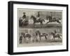 The Anglo-Mexican Riding Match at the Agricultural Hall, Islington-Alfred Chantrey Corbould-Framed Giclee Print