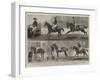 The Anglo-Mexican Riding Match at the Agricultural Hall, Islington-Alfred Chantrey Corbould-Framed Giclee Print