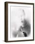 The angry bird...-Gilbert Claes-Framed Giclee Print