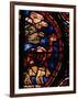 The Animals Boarding Noah's Ark, from the Noah-Window, 13th circa Stained Glass-null-Framed Giclee Print