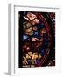 The Animals Boarding Noah's Ark, from the Noah-Window, 13th circa Stained Glass-null-Framed Giclee Print