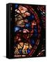 The Animals Boarding Noah's Ark, from the Noah-Window, 13th circa Stained Glass-null-Framed Stretched Canvas