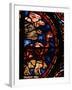 The Animals Boarding Noah's Ark, from the Noah-Window, 13th circa Stained Glass-null-Framed Giclee Print