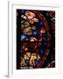 The Animals Boarding Noah's Ark, from the Noah-Window, 13th circa Stained Glass-null-Framed Giclee Print