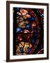 The Animals Boarding Noah's Ark, from the Noah-Window, 13th circa Stained Glass-null-Framed Giclee Print