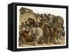 The Animals Emerge Two by Two from Noah's Ark-null-Framed Stretched Canvas