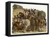 The Animals Emerge Two by Two from Noah's Ark-null-Framed Stretched Canvas