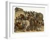 The Animals Emerge Two by Two from Noah's Ark-null-Framed Photographic Print