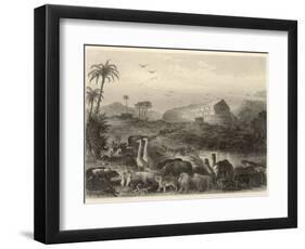 The Animals Enter Noah's Ark-null-Framed Photographic Print