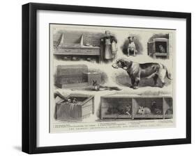 The Animals' Institute, a Hospital for Horses, Dogs, Cats, Etc-null-Framed Giclee Print