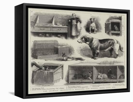 The Animals' Institute, a Hospital for Horses, Dogs, Cats, Etc-null-Framed Stretched Canvas