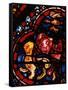 The Animals Leaving Noah's Ark, Stained Glass-null-Framed Stretched Canvas
