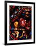 The Animals Leaving Noah's Ark, Stained Glass-null-Framed Giclee Print