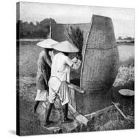 The Annamese Way of Reaping and Threshing Rice, Annam, Vietnam, 1922-null-Stretched Canvas