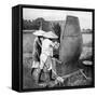 The Annamese Way of Reaping and Threshing Rice, Annam, Vietnam, 1922-null-Framed Stretched Canvas