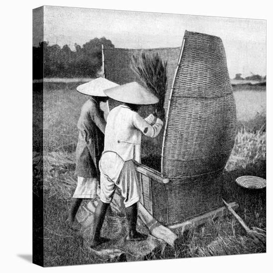 The Annamese Way of Reaping and Threshing Rice, Annam, Vietnam, 1922-null-Stretched Canvas