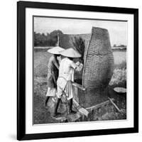 The Annamese Way of Reaping and Threshing Rice, Annam, Vietnam, 1922-null-Framed Giclee Print