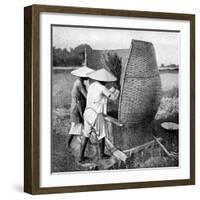 The Annamese Way of Reaping and Threshing Rice, Annam, Vietnam, 1922-null-Framed Giclee Print