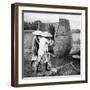 The Annamese Way of Reaping and Threshing Rice, Annam, Vietnam, 1922-null-Framed Giclee Print